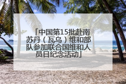中国第15批赴南苏丹（瓦乌）维和部队参加联合国维和人员日纪念活动