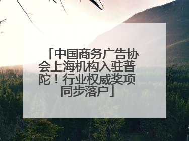 中国商务广告协会上海机构入驻普陀！行业权威奖项同步落户
