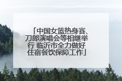 中国女篮热身赛、刀郎演唱会等相继举行 临沂市全力做好住宿餐饮保障工作