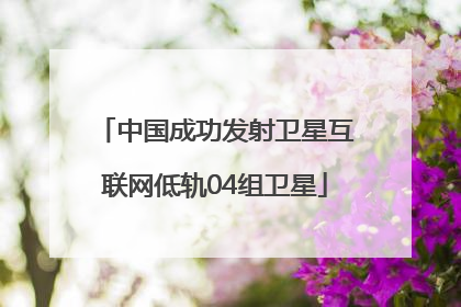 中国成功发射卫星互联网低轨04组卫星