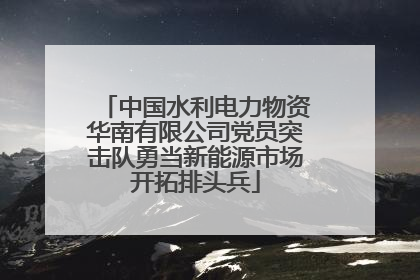 中国水利电力物资华南有限公司党员突击队勇当新能源市场开拓排头兵