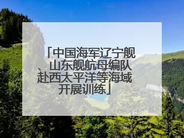 中国海军辽宁舰、山东舰航母编队赴西太平洋等海域开展训练