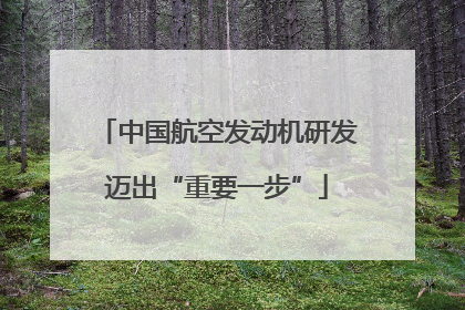 中国航空发动机研发迈出“重要一步”