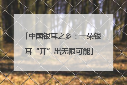 中国银耳之乡：一朵银耳“开”出无限可能
