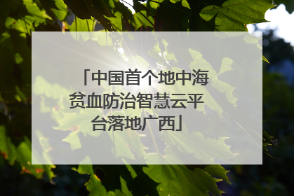 中国首个地中海贫血防治智慧云平台落地广西