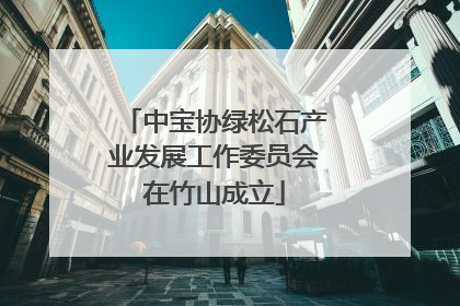 中宝协绿松石产业发展工作委员会在竹山成立