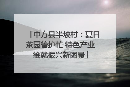 中方县半坡村：夏日茶园管护忙 特色产业绘就振兴新图景