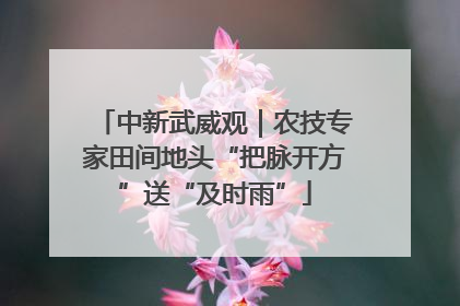 中新武威观｜农技专家田间地头“把脉开方”送“及时雨”