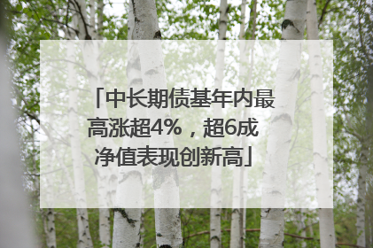 中长期债基年内最高涨超4%，超6成净值表现创新高