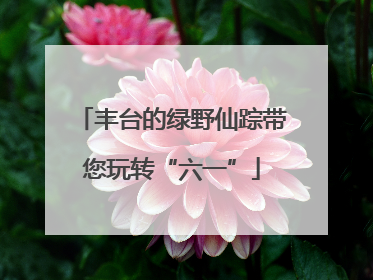 丰台的绿野仙踪带您玩转“六一”