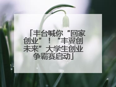 丰台喊你“回家创业”！“丰翼创未来”大学生创业争霸赛启动