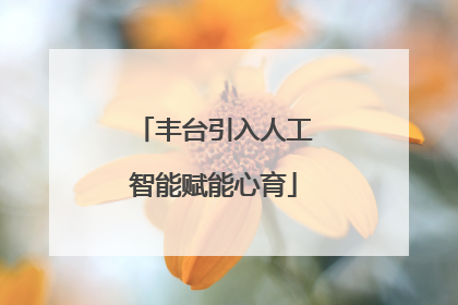 丰台引入人工智能赋能心育