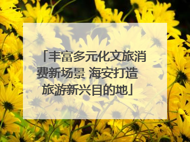 丰富多元化文旅消费新场景 海安打造旅游新兴目的地
