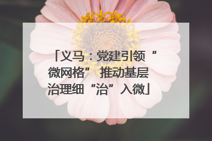 义马：党建引领“微网格” 推动基层治理细“治”入微