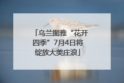 乌兰图雅“花开四季”7月4日将绽放大美庄浪