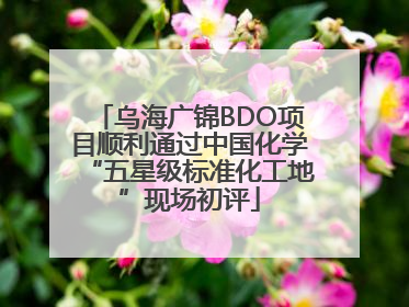 乌海广锦BDO项目顺利通过中国化学“五星级标准化工地”现场初评