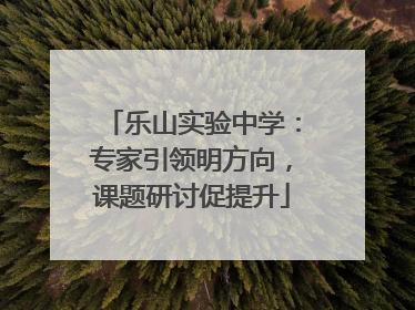 乐山实验中学：专家引领明方向，课题研讨促提升