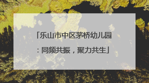 乐山市中区茅桥幼儿园：同频共振，聚力共生