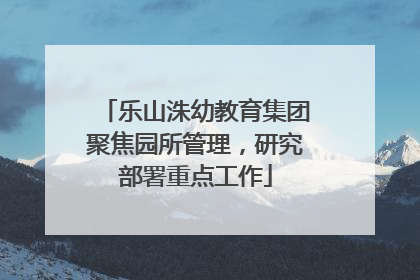 乐山洙幼教育集团聚焦园所管理，研究部署重点工作