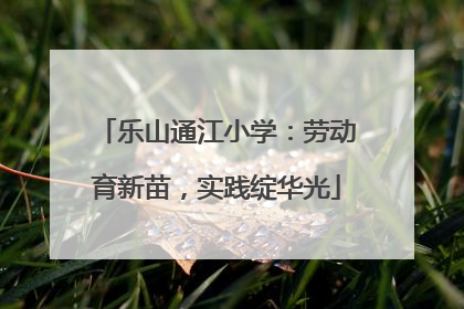 乐山通江小学：劳动育新苗，实践绽华光