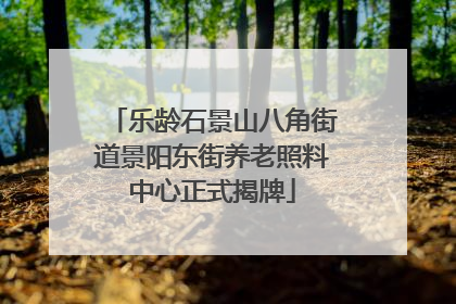 乐龄石景山八角街道景阳东街养老照料中心正式揭牌
