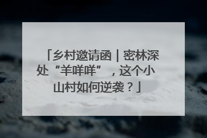 乡村邀请函｜密林深处“羊咩咩”，这个小山村如何逆袭？