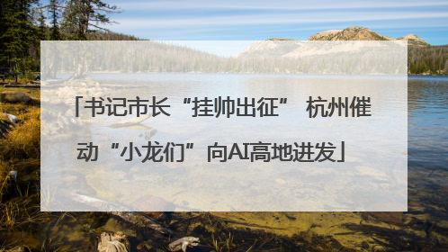 书记市长“挂帅出征” 杭州催动“小龙们”向AI高地进发