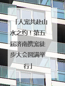 人宠共赴山水之约！第五届济南携宠徒步大会圆满举行