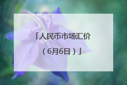 人民币市场汇价（6月6日）