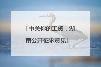 事关你的工资，湖南公开征求意见