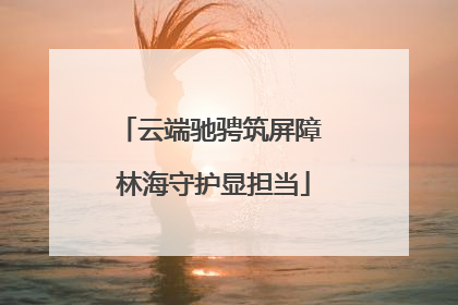 云端驰骋筑屏障 林海守护显担当