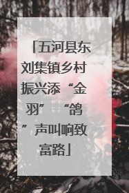 五河县东刘集镇乡村振兴添“金羽” “鸽”声叫响致富路