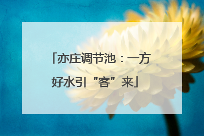 亦庄调节池：一方好水引“客”来