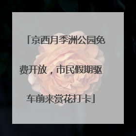 京西月季洲公园免费开放，市民假期驱车前来赏花打卡
