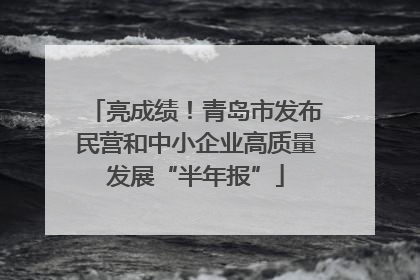 亮成绩！青岛市发布民营和中小企业高质量发展“半年报”
