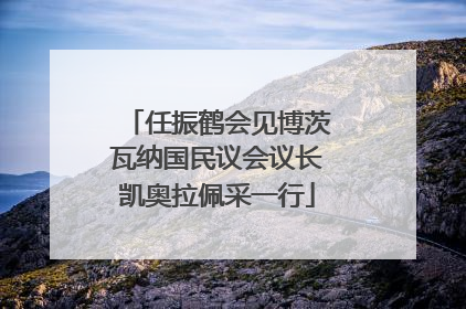 任振鹤会见博茨瓦纳国民议会议长凯奥拉佩采一行