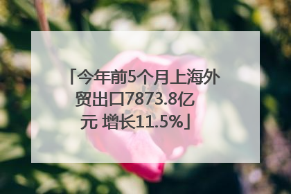 今年前5个月上海外贸出口7873.8亿元 增长11.5%