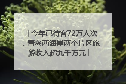 今年已待客72万人次，青岛西海岸两个片区旅游收入超九千万元