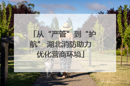 从“严管”到“护航” 湖北消防助力优化营商环境