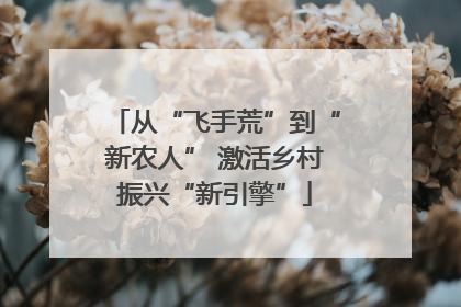 从“飞手荒”到“新农人” 激活乡村振兴“新引擎”