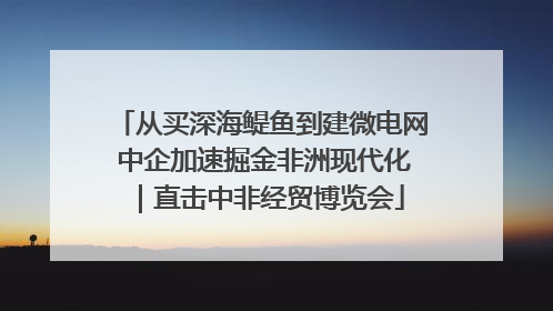 从买深海鳀鱼到建微电网 中企加速掘金非洲现代化｜直击中非经贸博览会