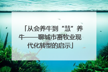 从会养牛到“慧”养牛——聊城市畜牧业现代化转型的启示