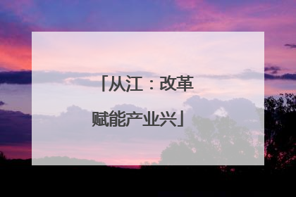 从江：改革赋能产业兴