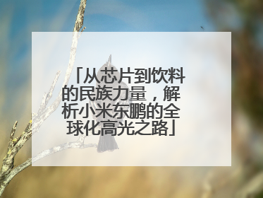 从芯片到饮料的民族力量，解析小米东鹏的全球化高光之路