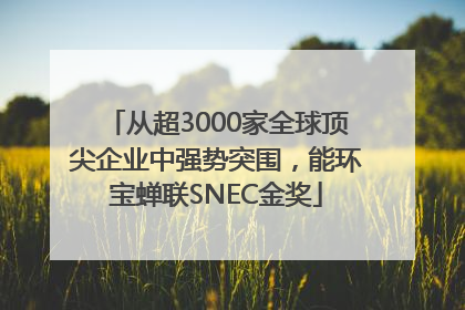 从超3000家全球顶尖企业中强势突围，能环宝蝉联SNEC金奖