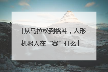 从马拉松到格斗，人形机器人在“赛”什么