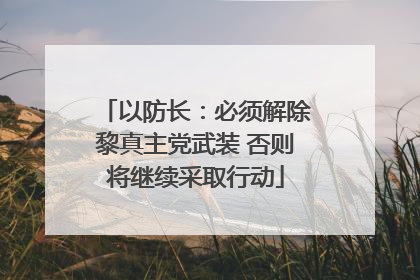 以防长：必须解除黎真主党武装 否则将继续采取行动