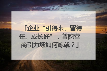 企业“引得来、留得住、成长好”，普陀营商引力场如何炼就？