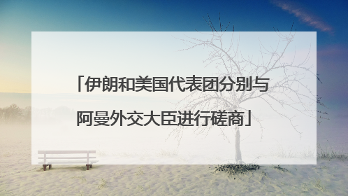 伊朗和美国代表团分别与阿曼外交大臣进行磋商