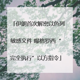 伊朗首次解密以色列敏感文件 曝格罗西“完全执行”以方指令